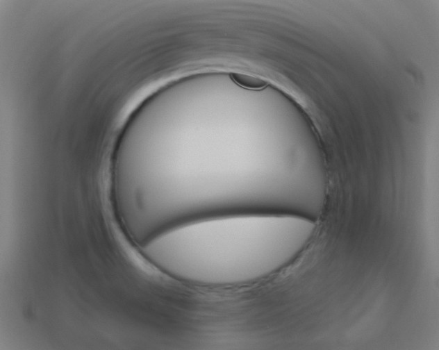 X0000114161523200910081123