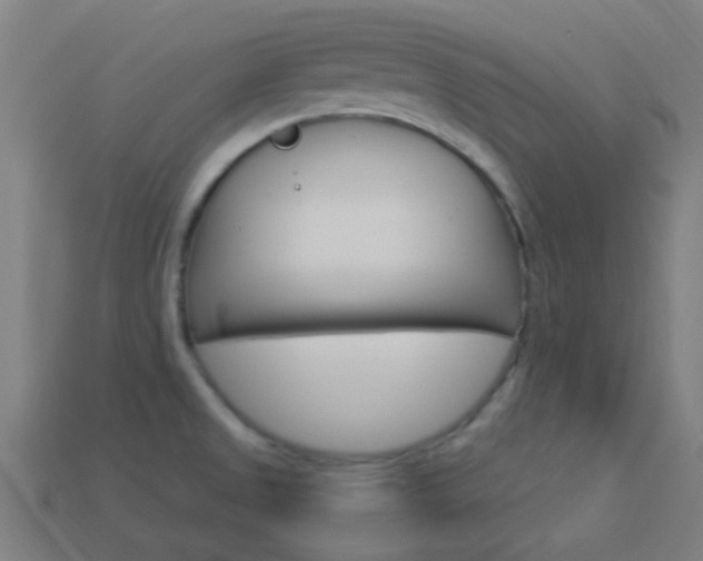 X0000114161525200910081123