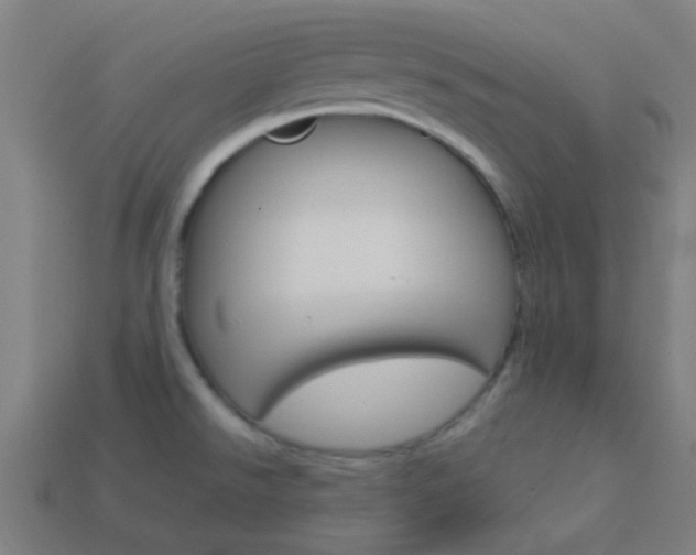 X0000114161526200910081123