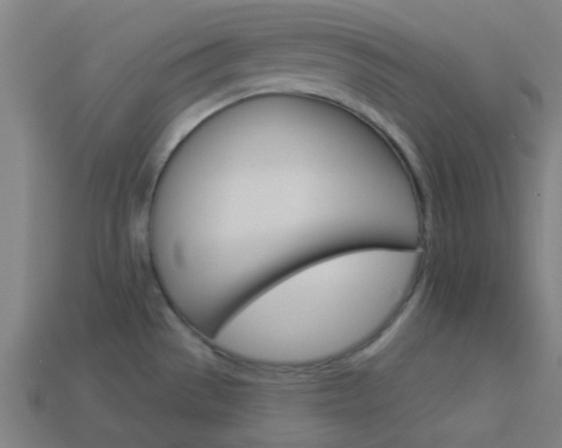 X0000114161529200910081123