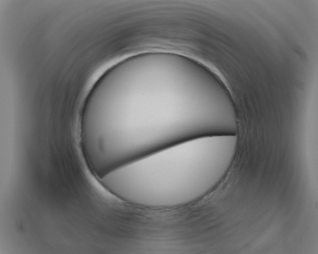 X0000114161531200910081123