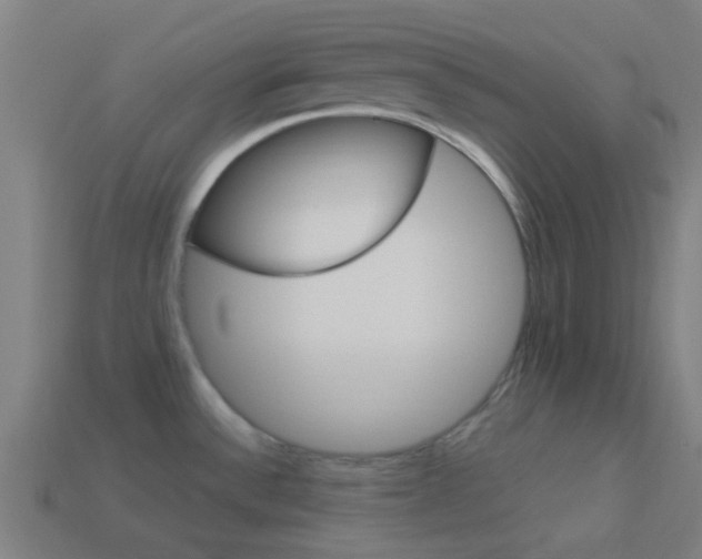 X0000114161532200910081123