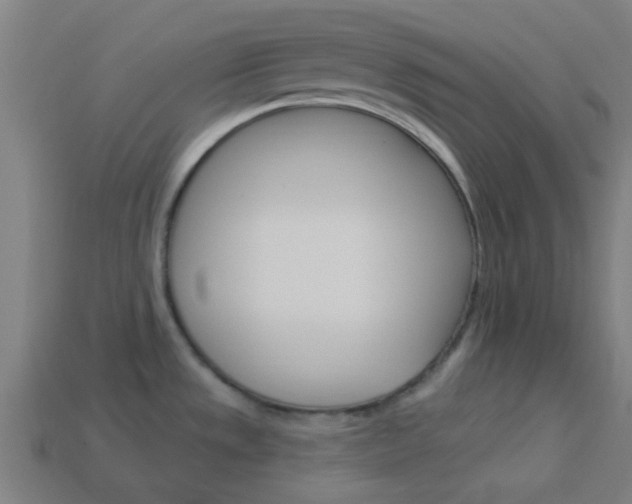 X0000114161533200910081123