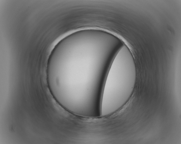 X0000114161534200910081123