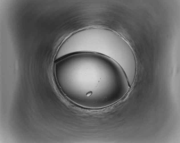 X0000114160001200910081403