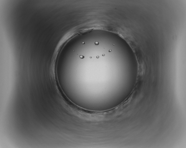 X0000114160004200910081403