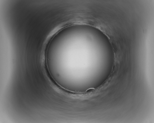 X0000114160005200910081403