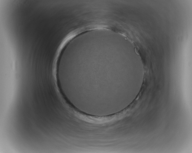 X0000114160006200910081403