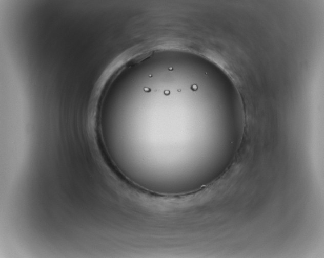 X0000114160007200910081403