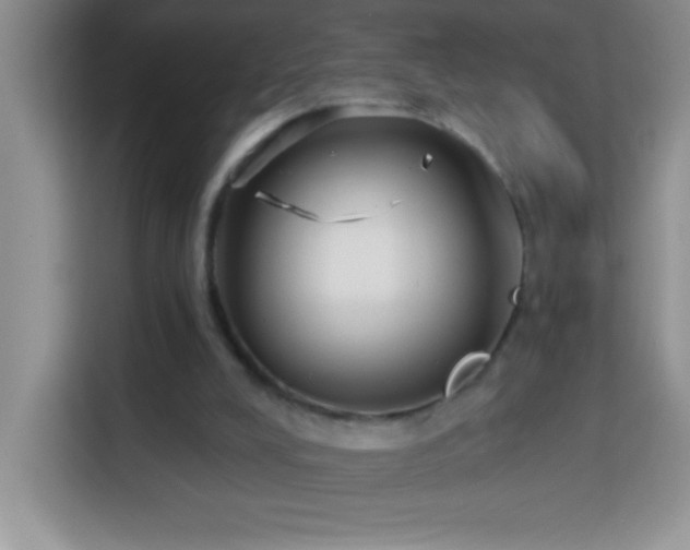 X0000114160008200910081403