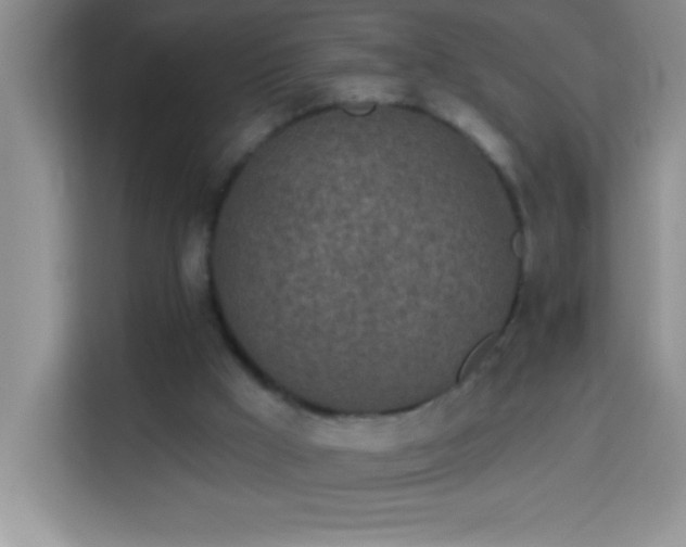 X0000114160009200910081403