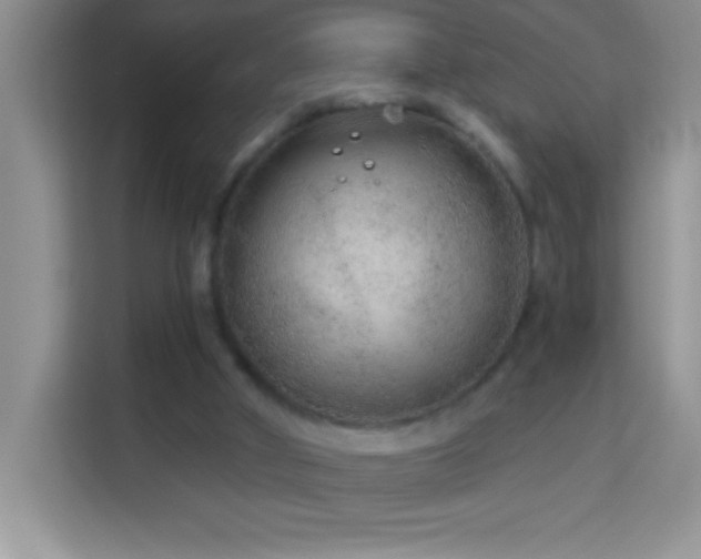 X0000114160010200910081403