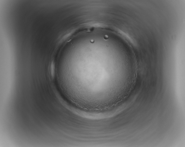 X0000114160014200910081403