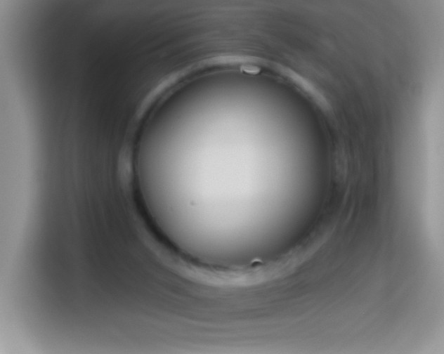 X0000114160015200910081403