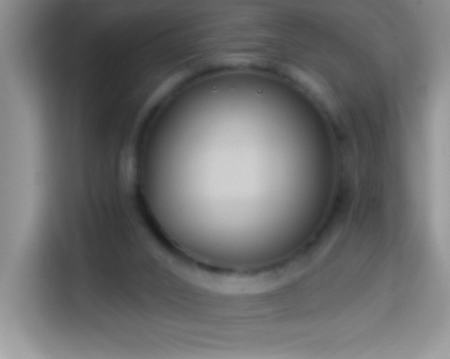 X0000114160016200910081403