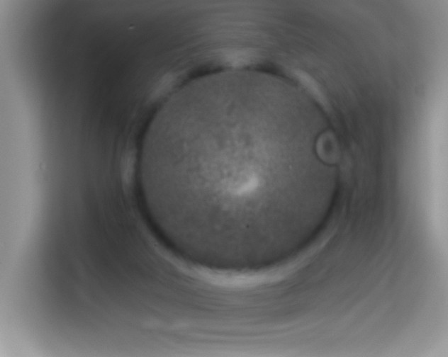 X0000114160018200910081403