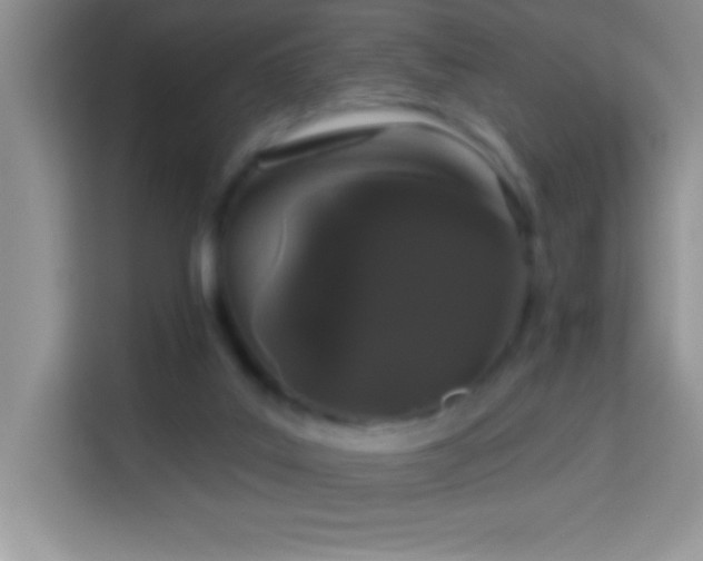 X0000114160019200910081403