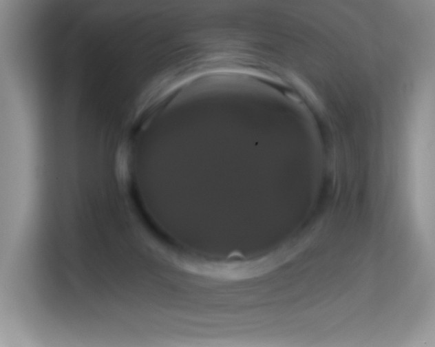 X0000114160023200910081402