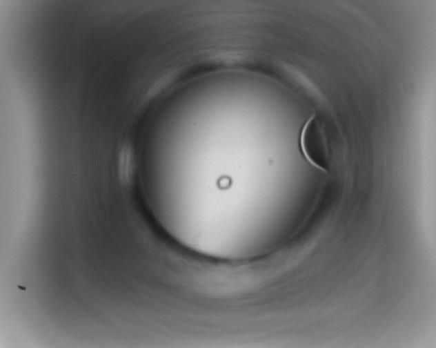 X0000114160024200910081402