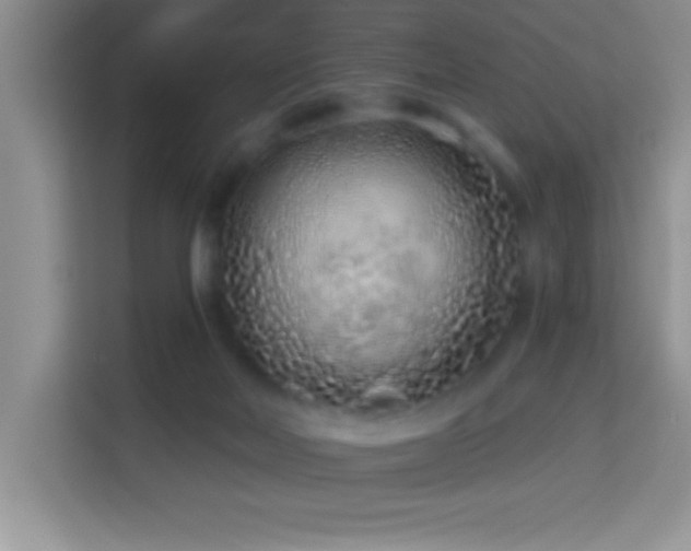 X0000114160026200910081402