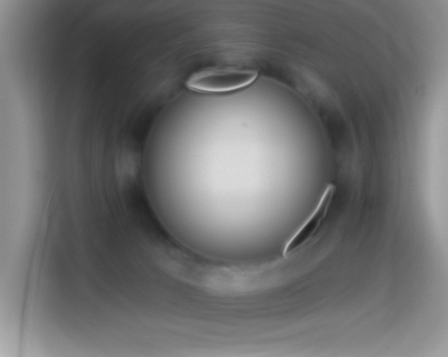 X0000114160033200910081402