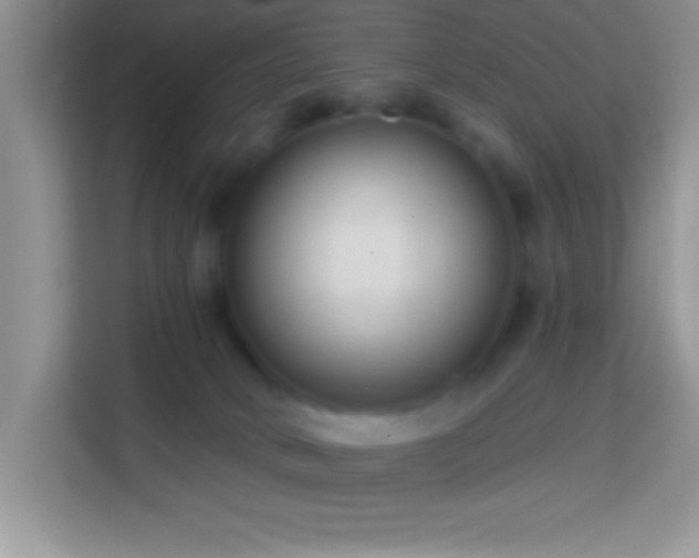 X0000114160034200910081402