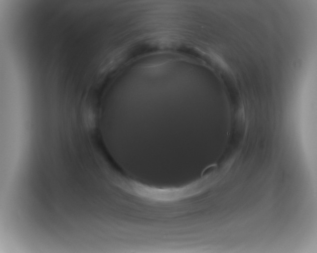 X0000114160039200910081402