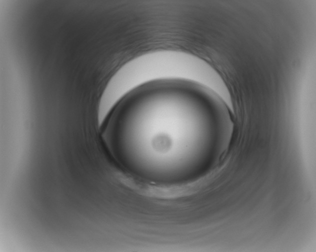 X0000114160041200910081402