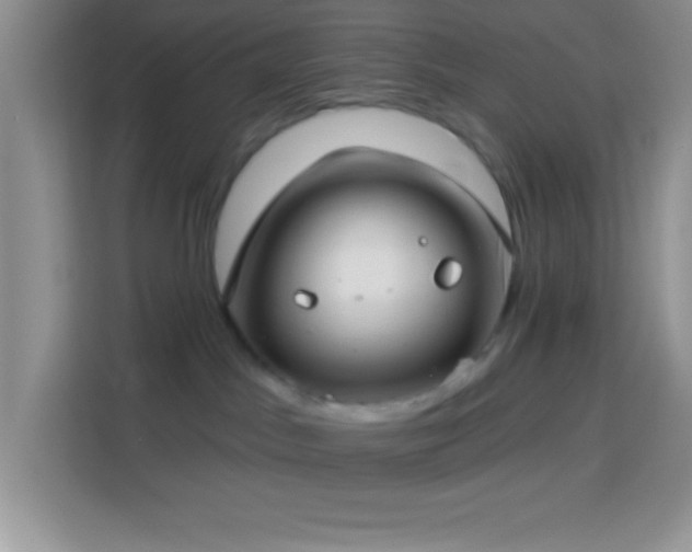 X0000114160045200910081402