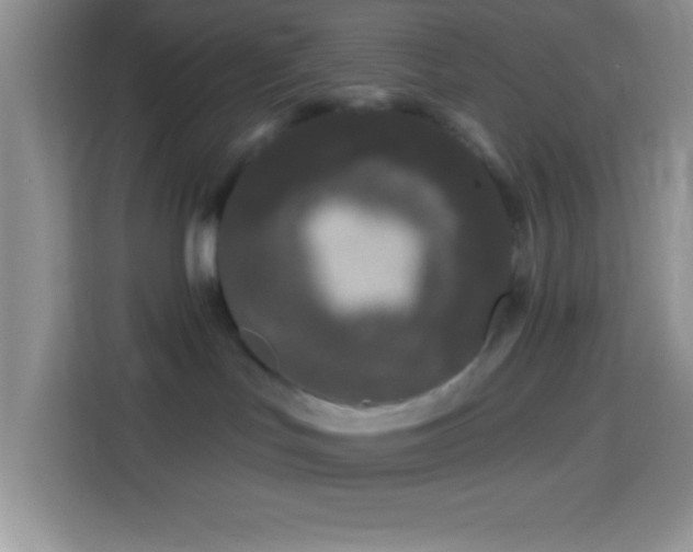 X0000114160047200910081402