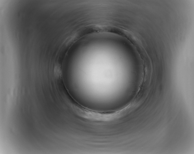 X0000114160048200910081402