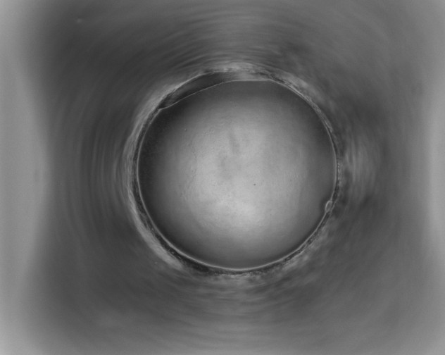 X0000114160049200910081401