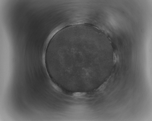 X0000114160051200910081401