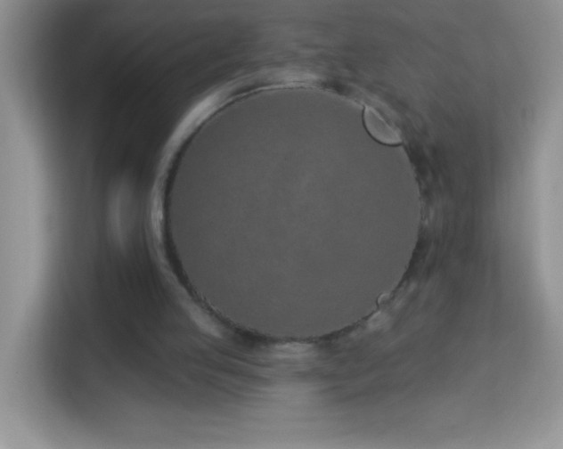 X0000114160053200910081401