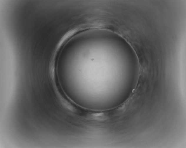 X0000114160054200910081401