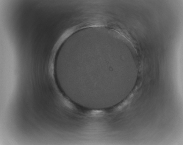 X0000114160055200910081401