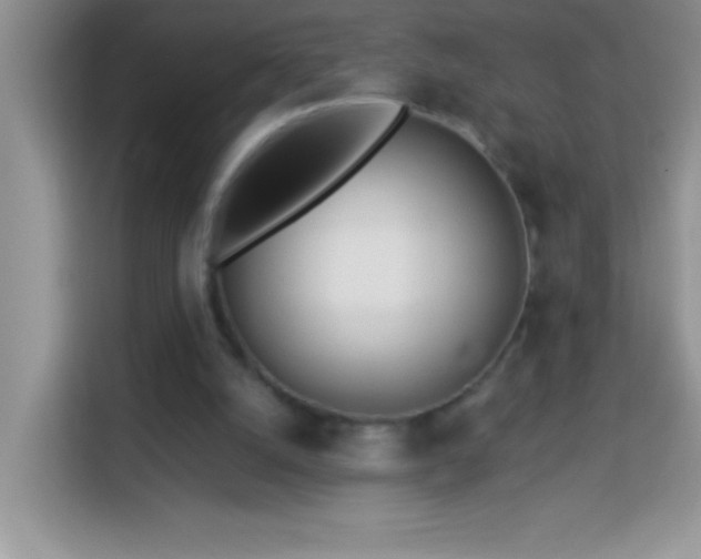 X0000114160056200910081402