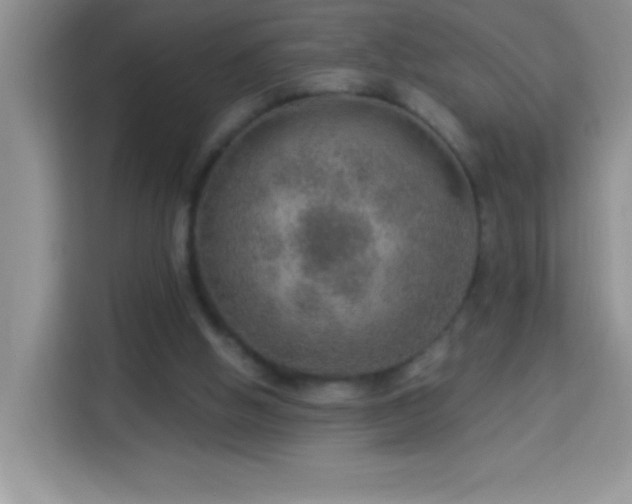 X0000114160058200910081402