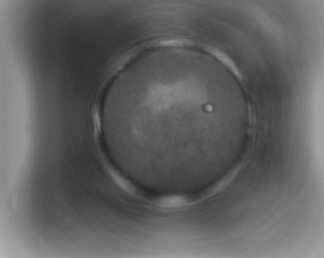 X0000114160061200910081402