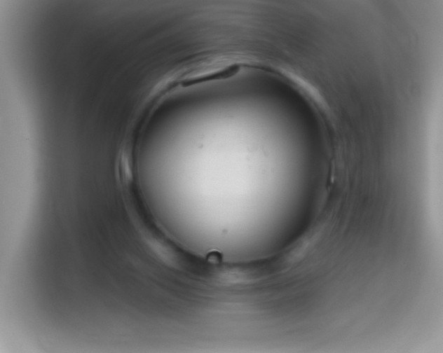 X0000114160062200910081402