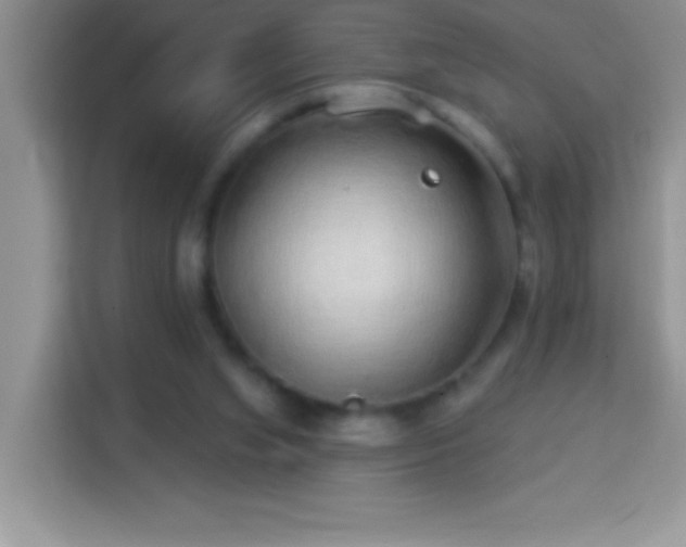 X0000114160063200910081402