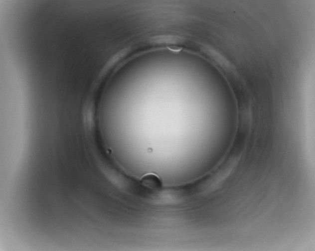 X0000114160064200910081402