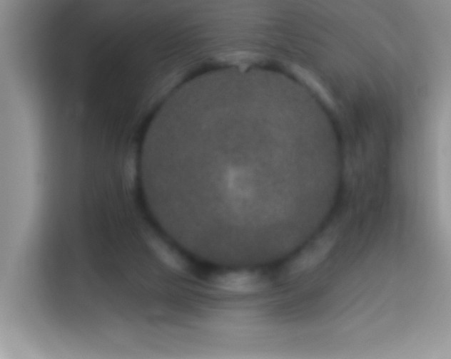 X0000114160065200910081402