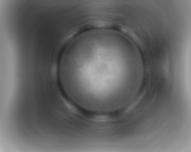 X0000114160066200910081402