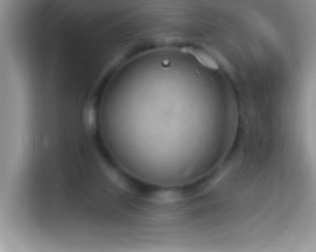 X0000114160067200910081402