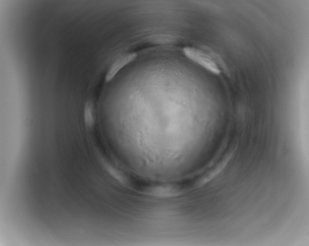 X0000114160069200910081402