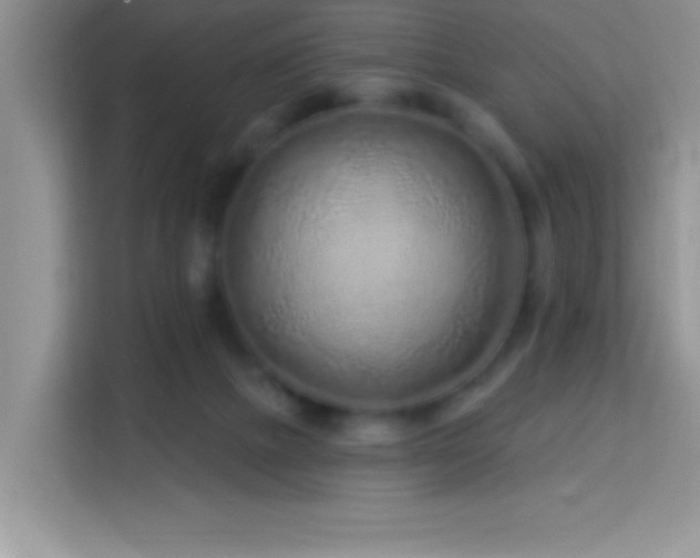 X0000114160073200910081402