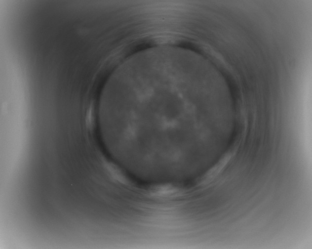 X0000114160074200910081402