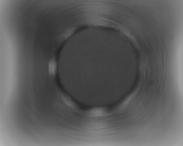 X0000114160076200910081402