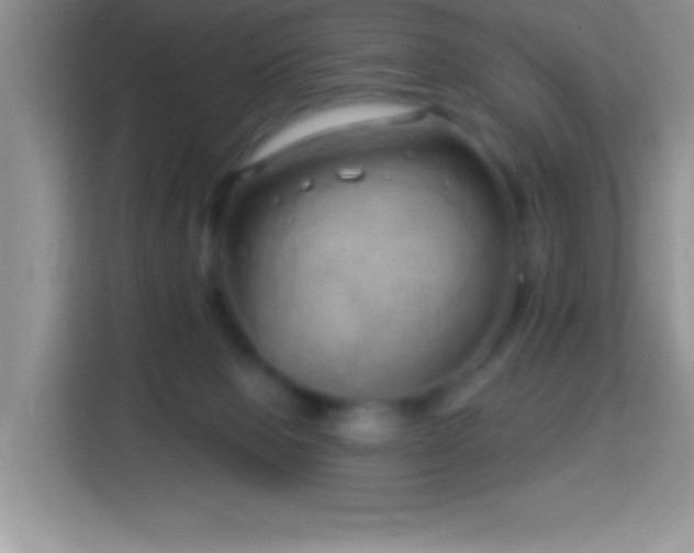 X0000114160077200910081402